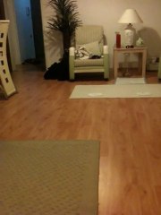 Papi final macını tahmin ediyor!