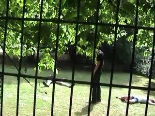 Le Visiteur Du Futur version Rifturn team S01E08