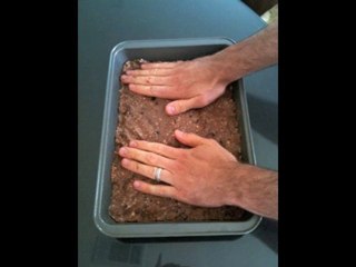 How to Make Your Own Protein Bars