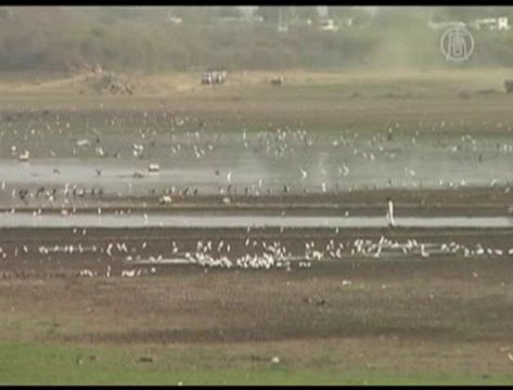 India's Famous Lakes are Dry in Udaipur City