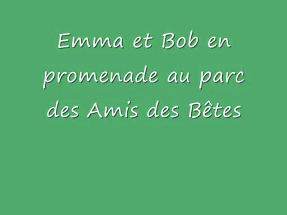 Bob du refuge des Amis des Bêtes Aix les bains