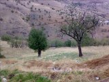 malatya pütürge tatlıcak ve kalıkuşağı ve civar köyleri