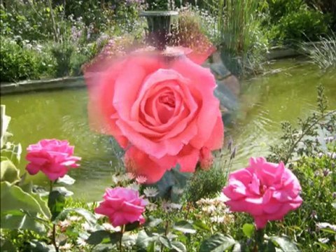 Abdullah Yüce-Bu ne sevgi ah.Bu ne ızdırap.