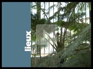 LES SERRES TROPICALES DU JARDIN DES PLANTES