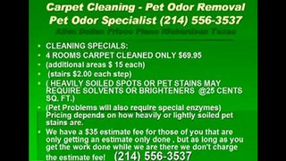 Carpet cleaning dallas water extraction pet odor removal Are