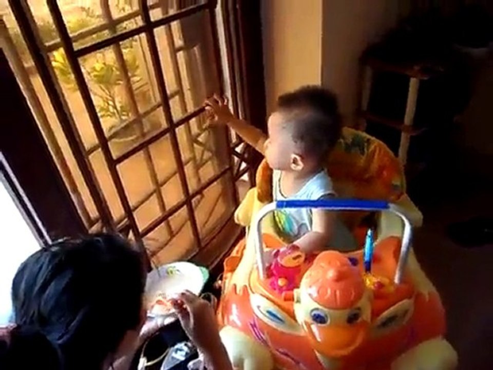 cu tit o quang ngai city