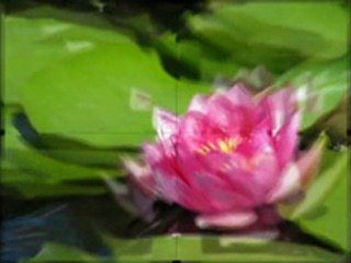 Natural ways for healing depression