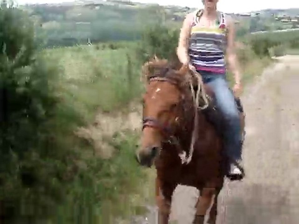 avec fifk 29 juin10