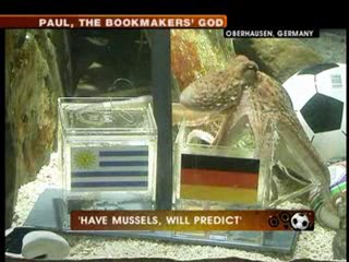 Paul picks Spain for WC title