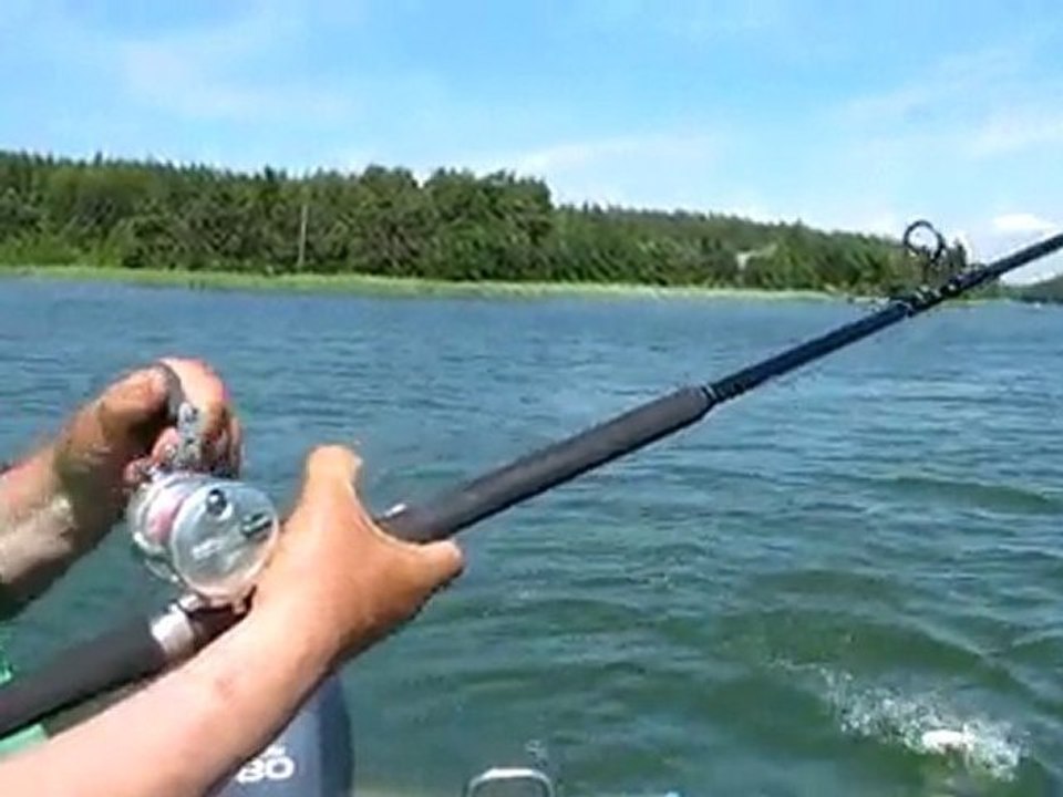 SUDAK SIRTI  09.07.2010 002