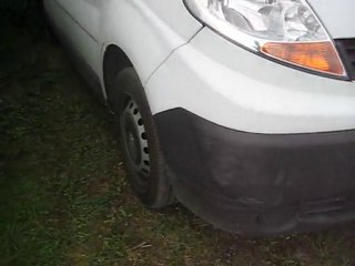 utilitaire renault trafic