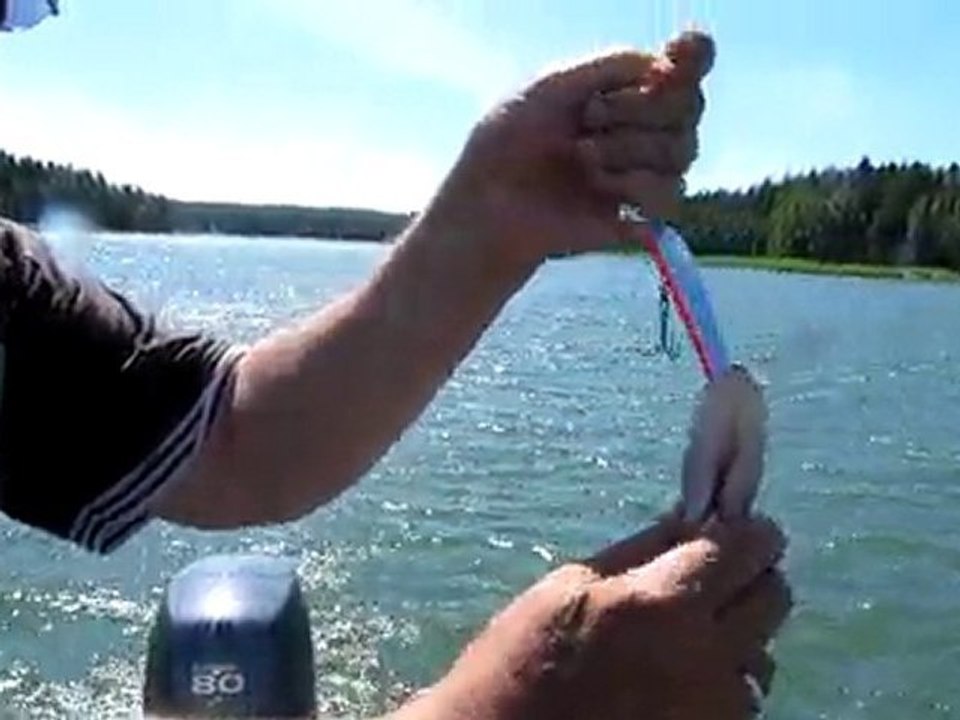 SUDAK SIRTI  09.07.2010 003