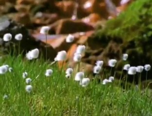 Совершенный Бог: Истина и Величие ✨