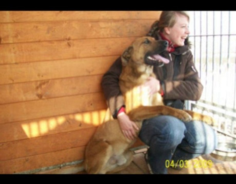 Schronisko dla Zwierząt w Orzechowcach k. Przemyśla - teraz