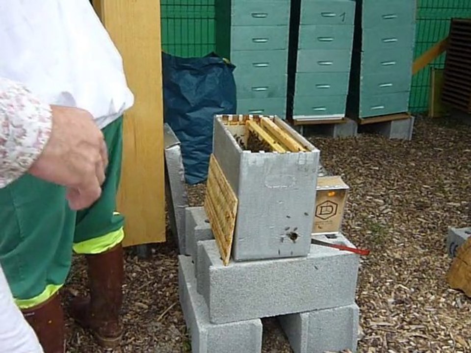 Rucher Balma  09.07.2010