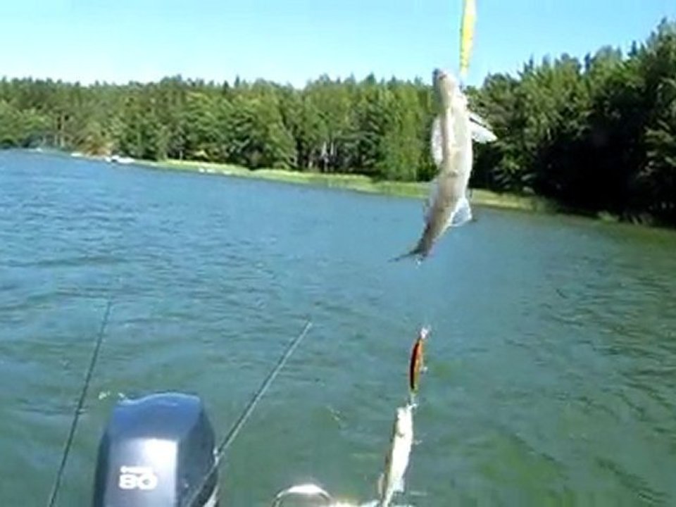 SUDAK SIRTI  09.07.2010 005