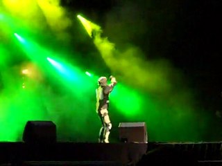 Japan Expo 2010 vendredi 04 - Raiden- MGS 4