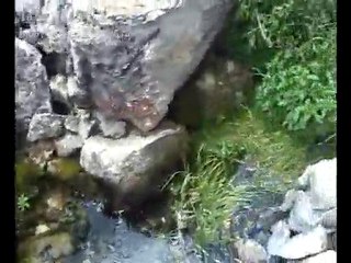 ÇAMBAŞI KÖYÜ YEŞİLİ ALTINDA SULAK ARAZİ VE BİZ