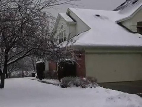 Homes for Sale - 30W060 Willow Ln - Warrenville, IL 60555 -