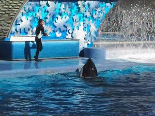 Daytona 2007 - memories ...