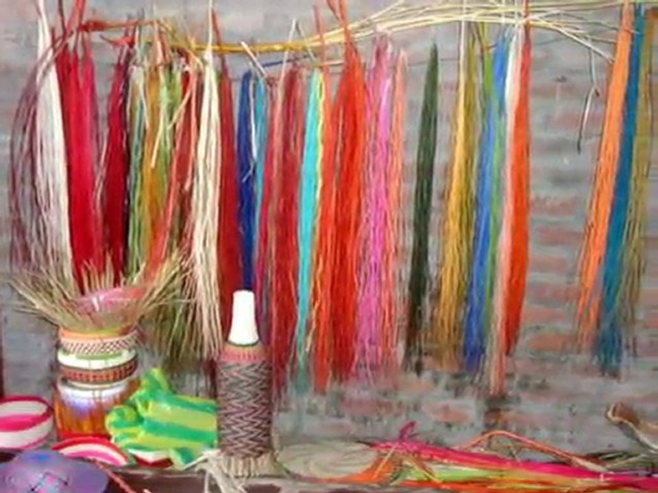 Plan Verde e.V. Existenzen sichern mit Aufforstung