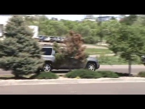 Auto Wash Lakewood - car wash satisfied customers