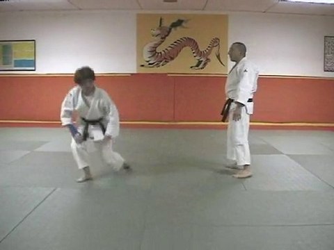 20 attaques imposées jujitsu série B