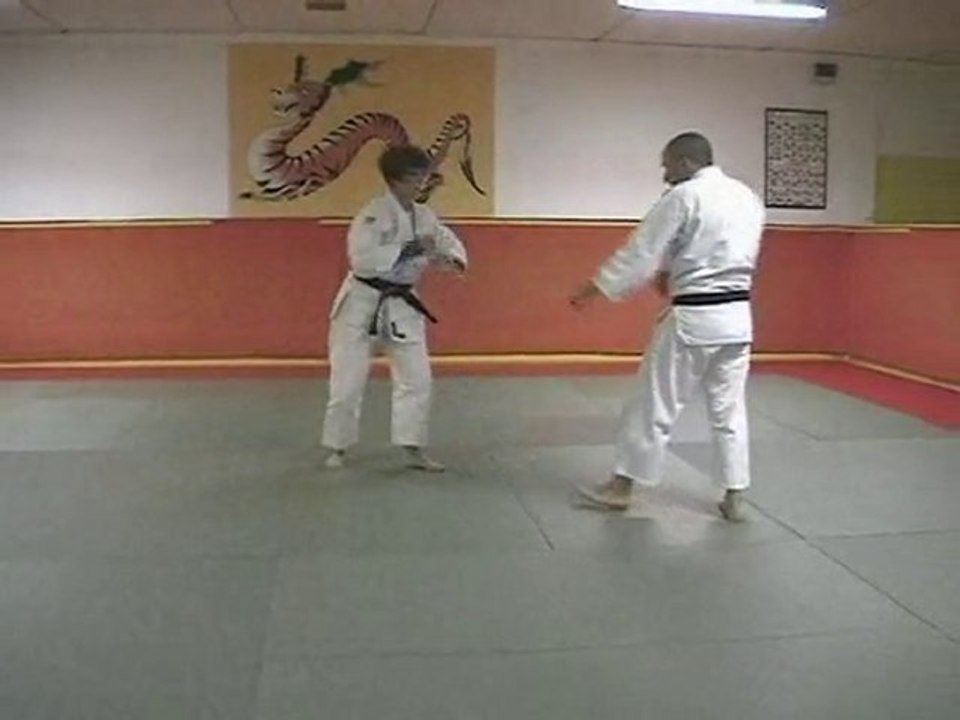 20 attaques imposées jujitsu série C