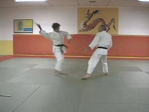 20 attaques imposées jujitsu série D
