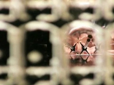 Balkony Przytoczna Mib-Pol Sp. Z O.O.