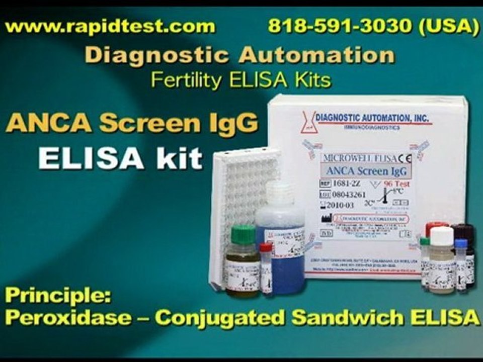 ANCA SCREEN IgG ELISA kit