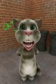 Talking Tom singing 