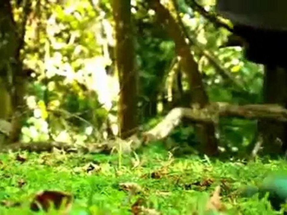 MARA SERENA SAFARI LODGE Mara Serena