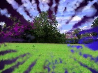 Video - Don't Believe Anything You see