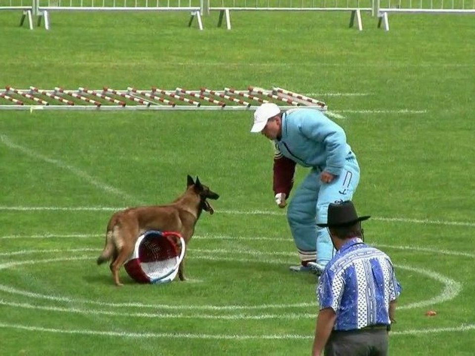 Belfast, Atos, Vicky, finale Ring 2010 Mauguio