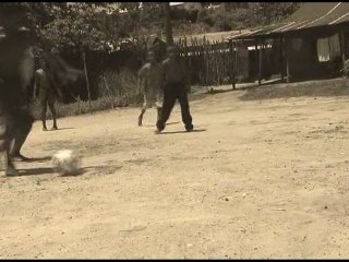 FIFA World Cup South Africa 2010 BUT INIESTA