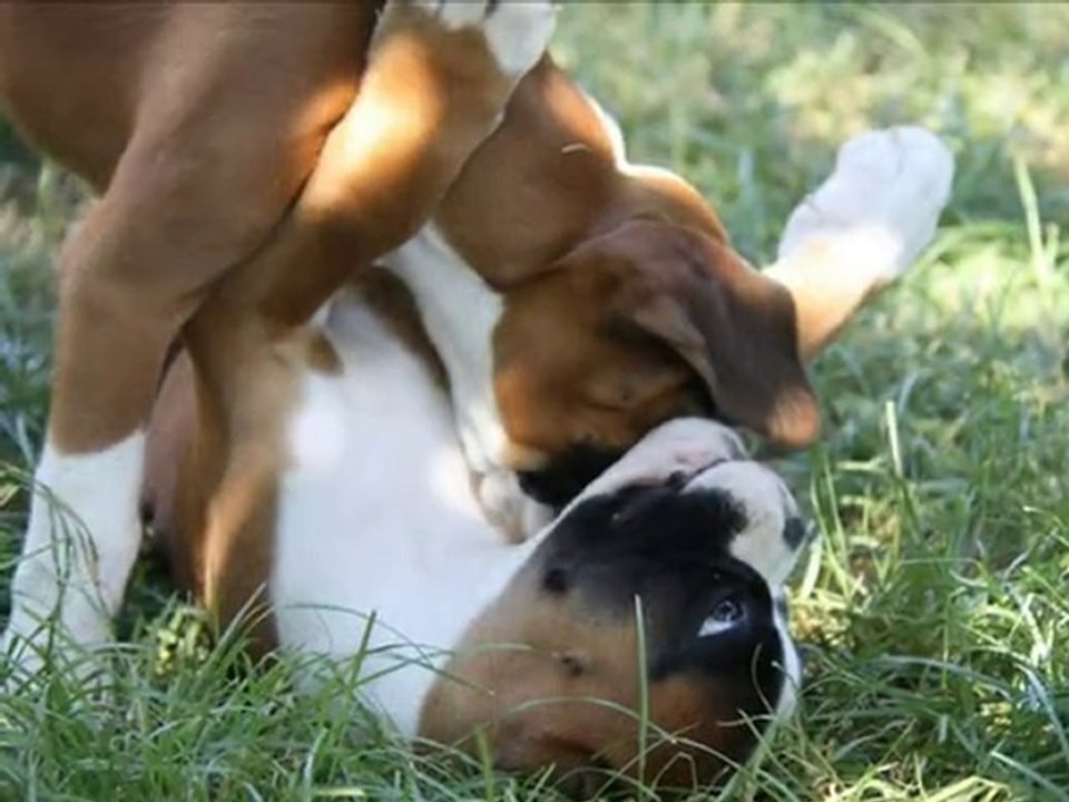 bb bora betty 2mois2