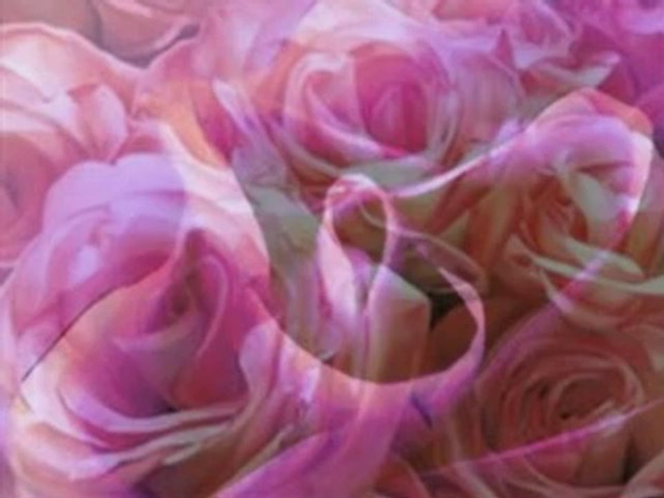 JE DORS SUR DES ROSES - MOZART L'OPERA ROCK PAR GBF2