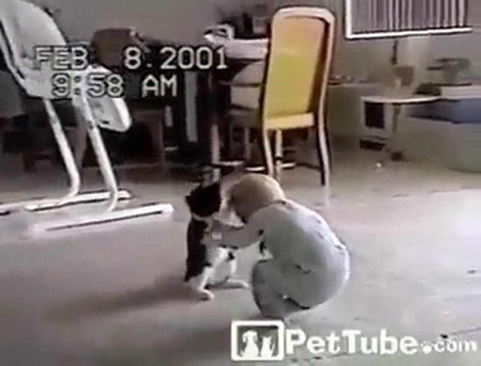 Hep İnsanlar mı Kedilerle Oynayacak ?