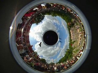 Le puy du fou // oiseaux