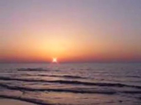 Homes for Sale - 1417 Lake Shore Dr - Long Beach, IN 46360 -