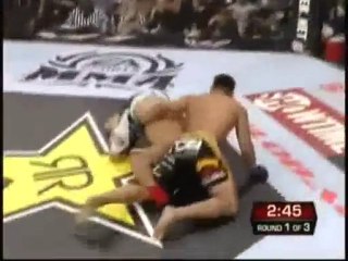 Cung Le World Champion: Rematch