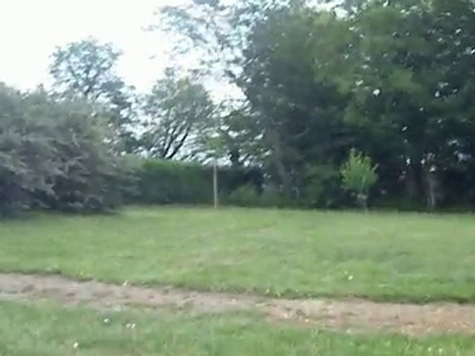 video  4 chiots callypso juin 2010
