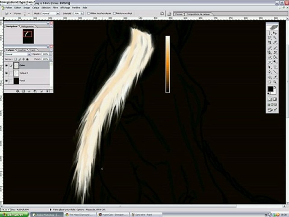 Colorisation informatique - Crins