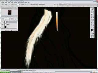 Colorisation informatique - Crins