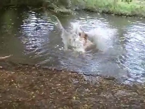 vincennes 10 juillet 2010 v2