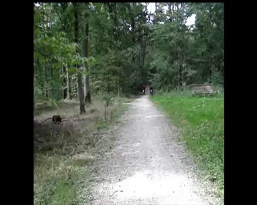 C'était le top avant quand même!!!