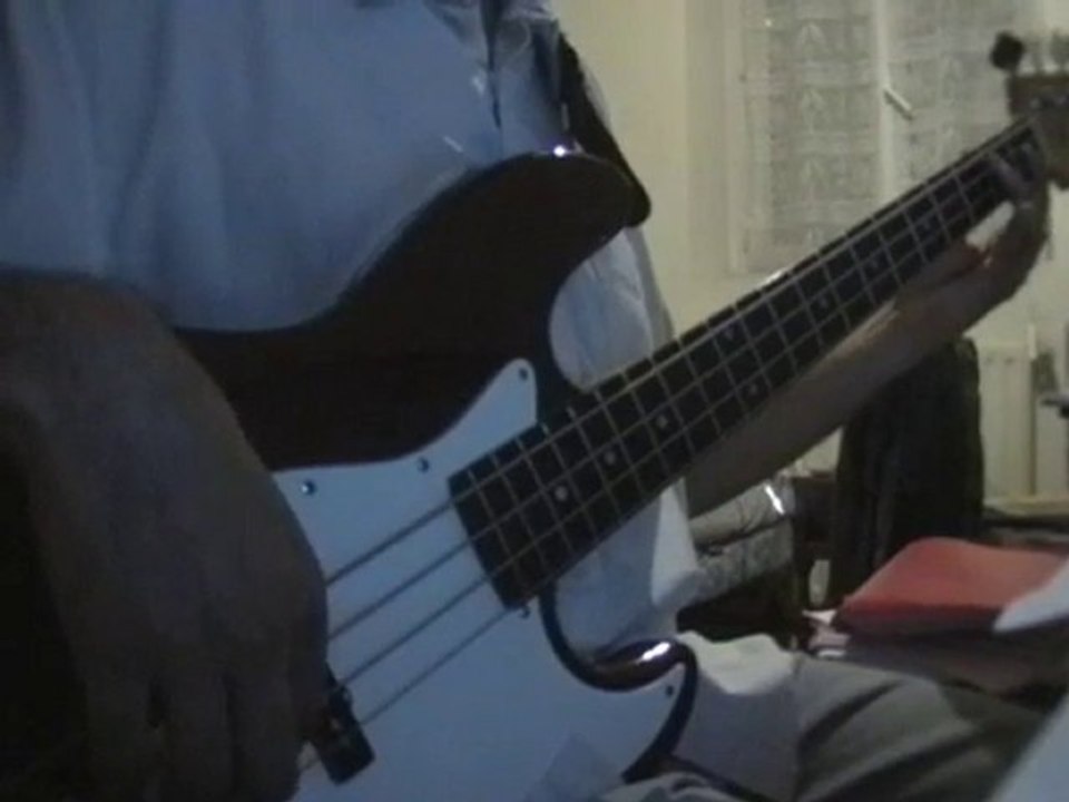 Eluveitie - Lugdunon (bass cover)