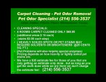 Dallas carpet cleaning water extraction pet odor removal wat