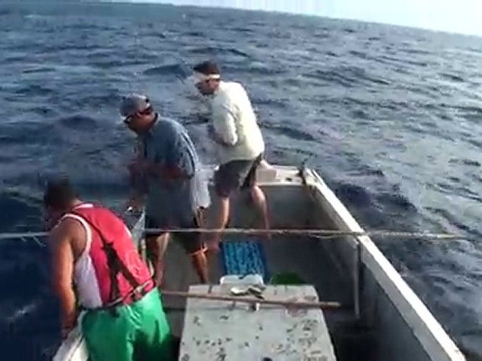Yellowfin Tuna on bamboo